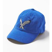 Aeo Factory Signature Fitted Baseball Cap - $14.98