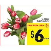 10 Stem Tulip Bunch - $6.00
