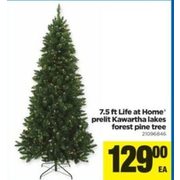 7.5 Ft Life at Home Prelit Kawartha Lakes Forest Pine Trees  - $129.00