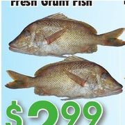 Fresh Grunt Fish - $2.99/lb