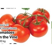 Hot House Grown Tomatoes on the Vine - #2.49/lb