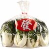 Baby Bok Choy, Baby Napa Cabbage, Gai Lon, Yu Choy or Shanghai Bok Choy - $1.98/lb