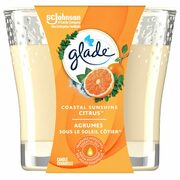 Glade Small Jar Candle or Wax Melts - 3/$12.00