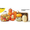 Fall Decorative Pumpkins & Containers By Ashland - 50% off