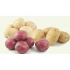 Longo's Fresh White, Yellow or Red Potatoes - $1.99/lb